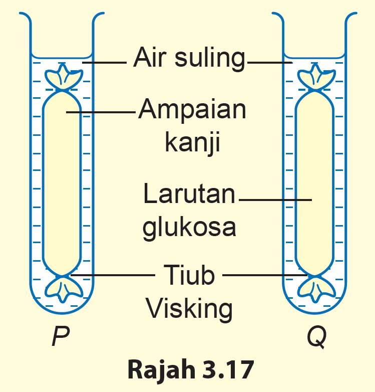 Eksperimen 3.1 Sains Tingkatan 2 (KSSM) Bab 3 Sains Tingkatan 1, 2 & 3