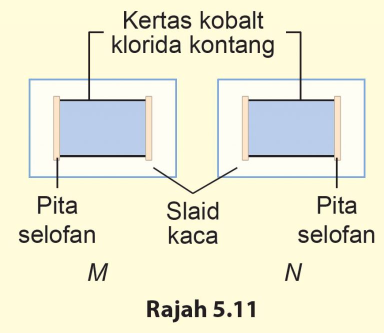 Eksperimen (D) – Sains Tingkatan 2 (KSSM) Bab 5 - Sains Tingkatan 1, 2 & 3