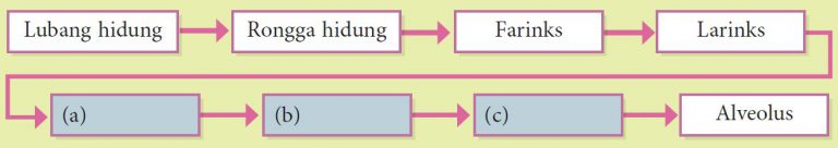 Praktis Formatif 2.1 (Soalan 1 - 3) – Sains Tingkatan 3 (KSSM) Bab 2 ...