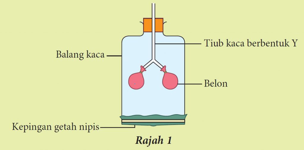 Praktis Formatif 2.1 (Soalan 4) – Sains Tingkatan 3 (KSSM) Bab 2 ...