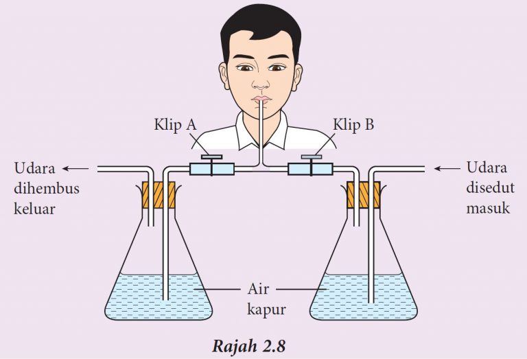 Eksperimen 2.1 (B) – Sains Tingkatan 3 (KSSM) Bab 2 - Sains Tingkatan 1 ...