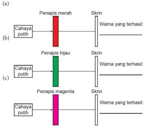 Praktis Formatif 8.7 – Sains Tingkatan 1 (KSSM) Bab 8 - Sains Tingkatan ...