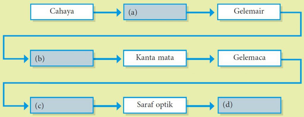 Praktis Formatif 1.2 – Sains Tingkatan 3 (KSSM) Bab 1 - Sains Tingkatan ...